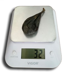 按重量计算的熊胆干提取物